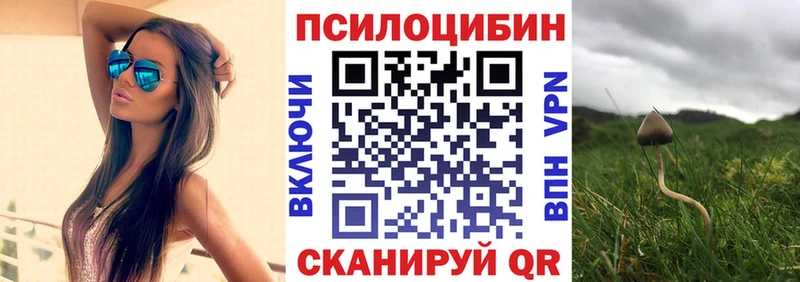 Галлюциногенные грибы мухоморы  мориарти клад  Чебаркуль 