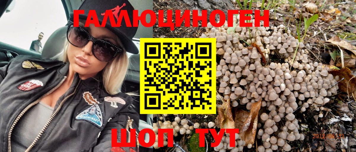 Псилоцибиновые грибы Psilocybe  Вход с VPN  Чебаркуль 
